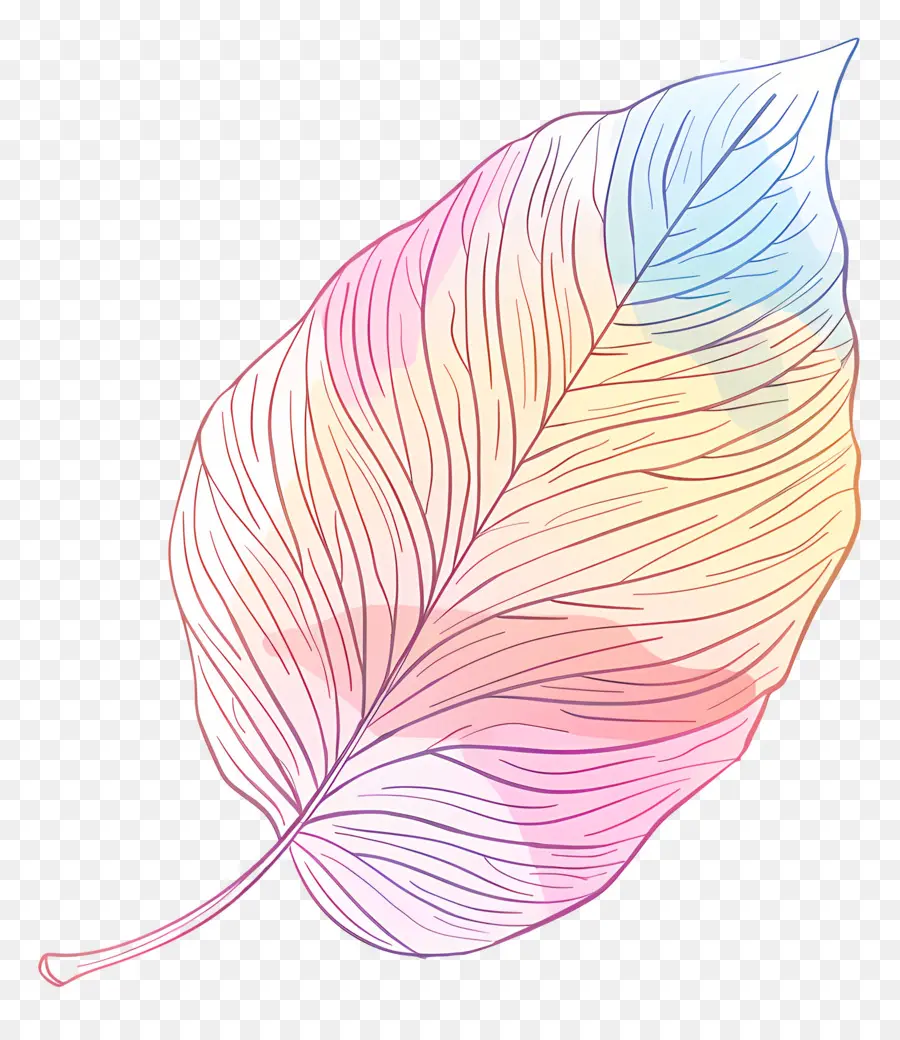 Feuille Pastel，Feuille PNG