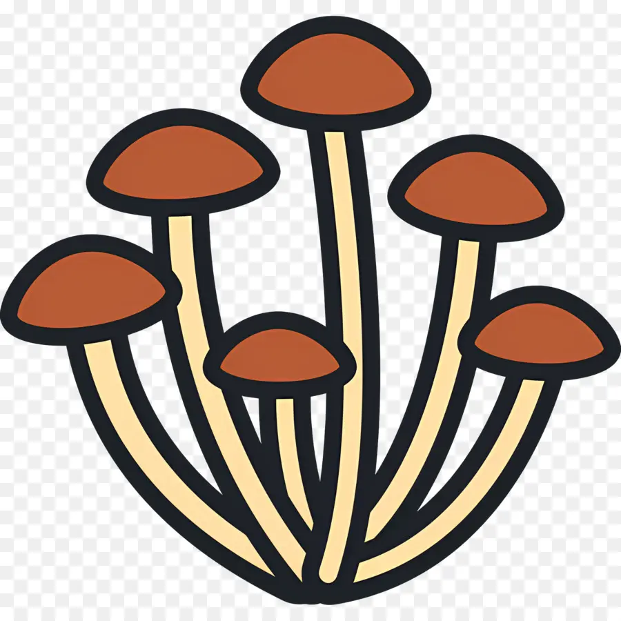 Champignon，Champignons PNG