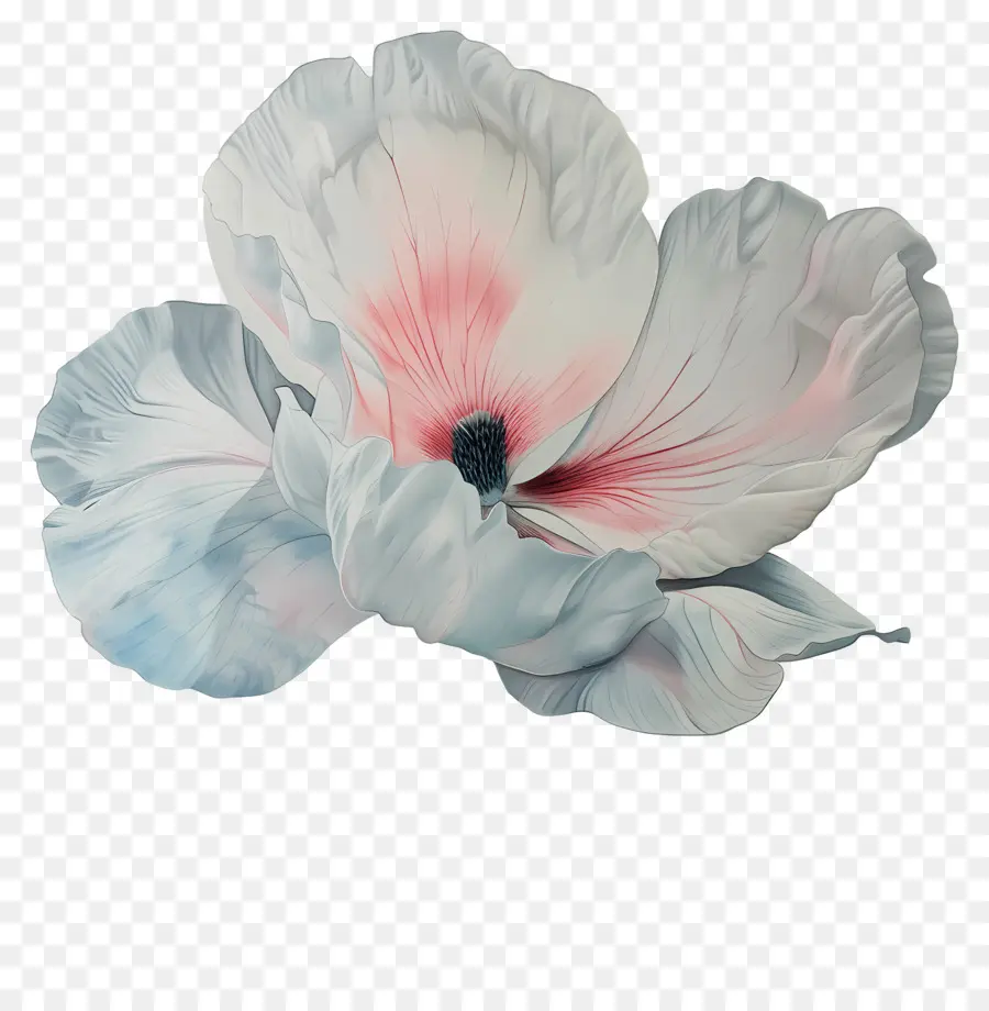 Fleur Pastel，Fleur D'hibiscus PNG