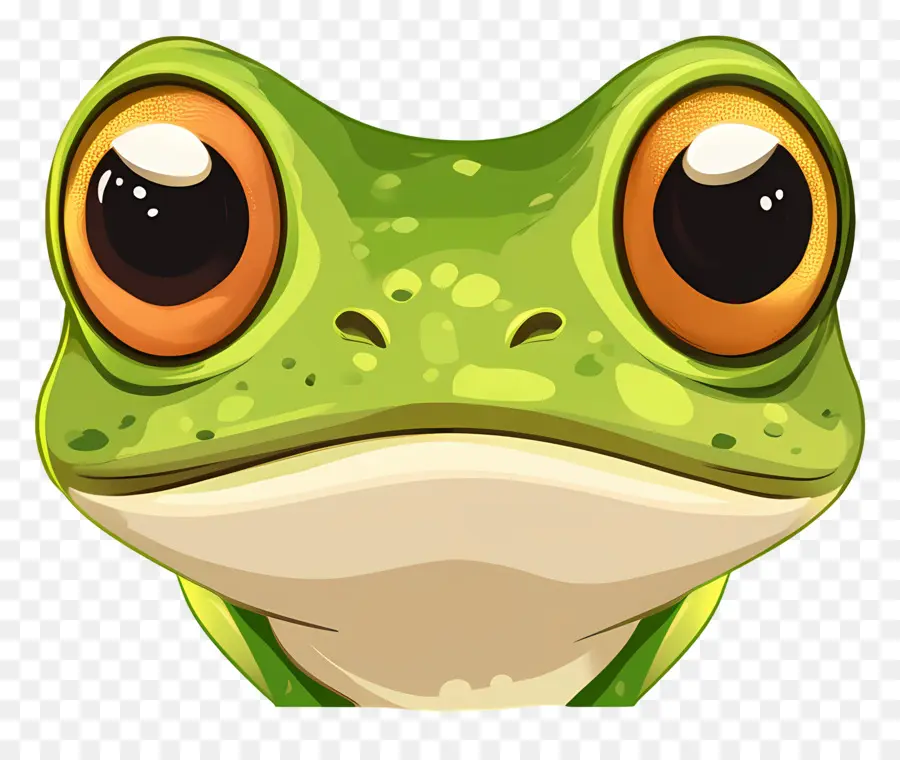 Grenouille De Dessin Animé，Grenouille PNG