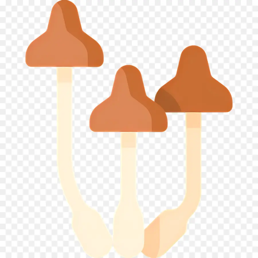 Champignon，Champignons Bruns PNG