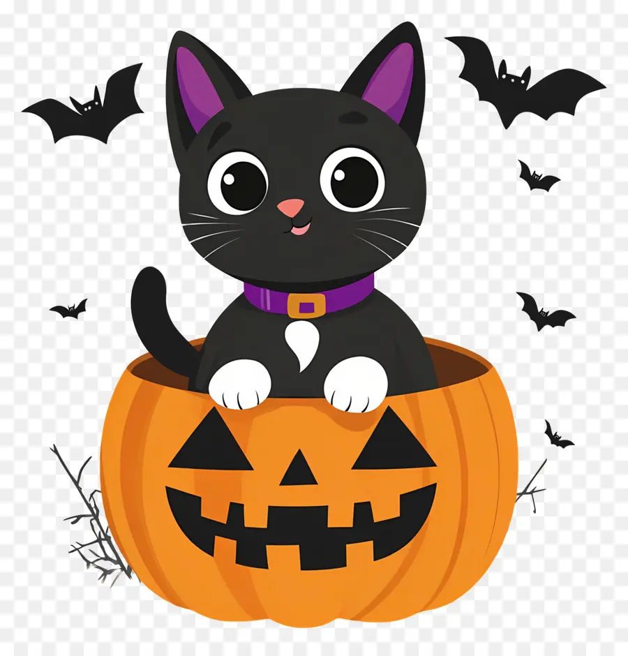 Chat Noir D'halloween，Chat En Citrouille PNG