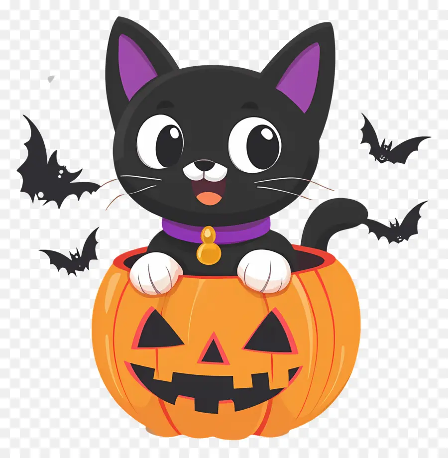 Chat Noir D'halloween，Chat En Citrouille PNG