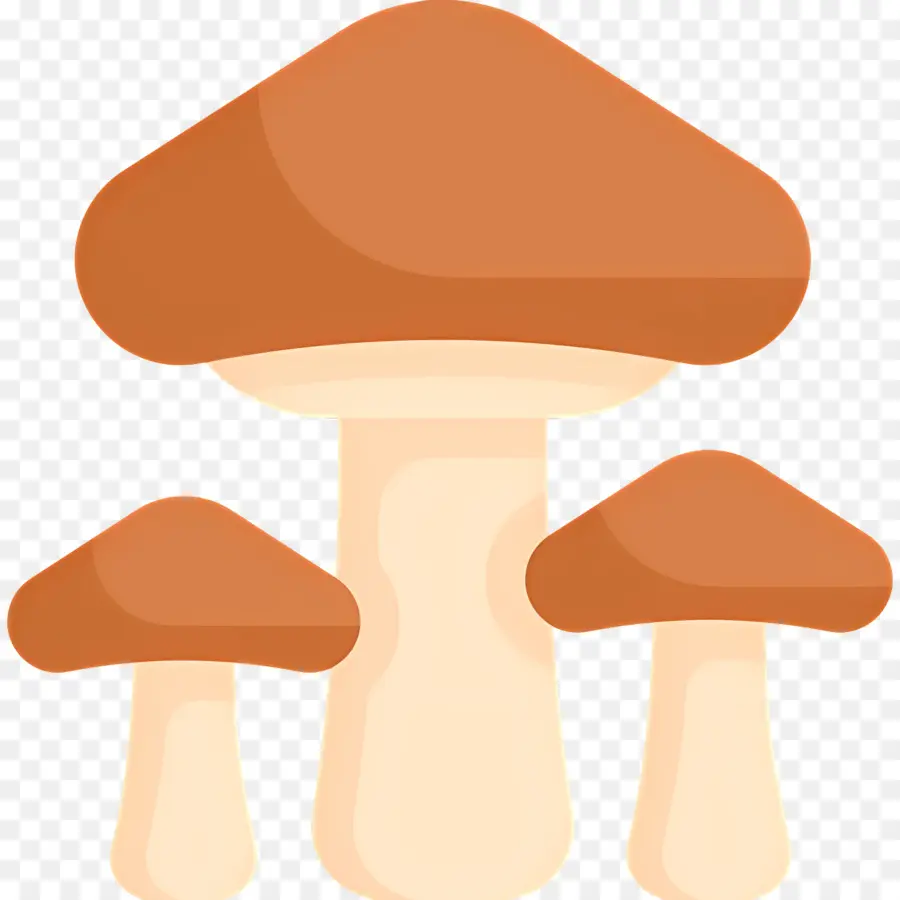 Champignon，Champignons PNG