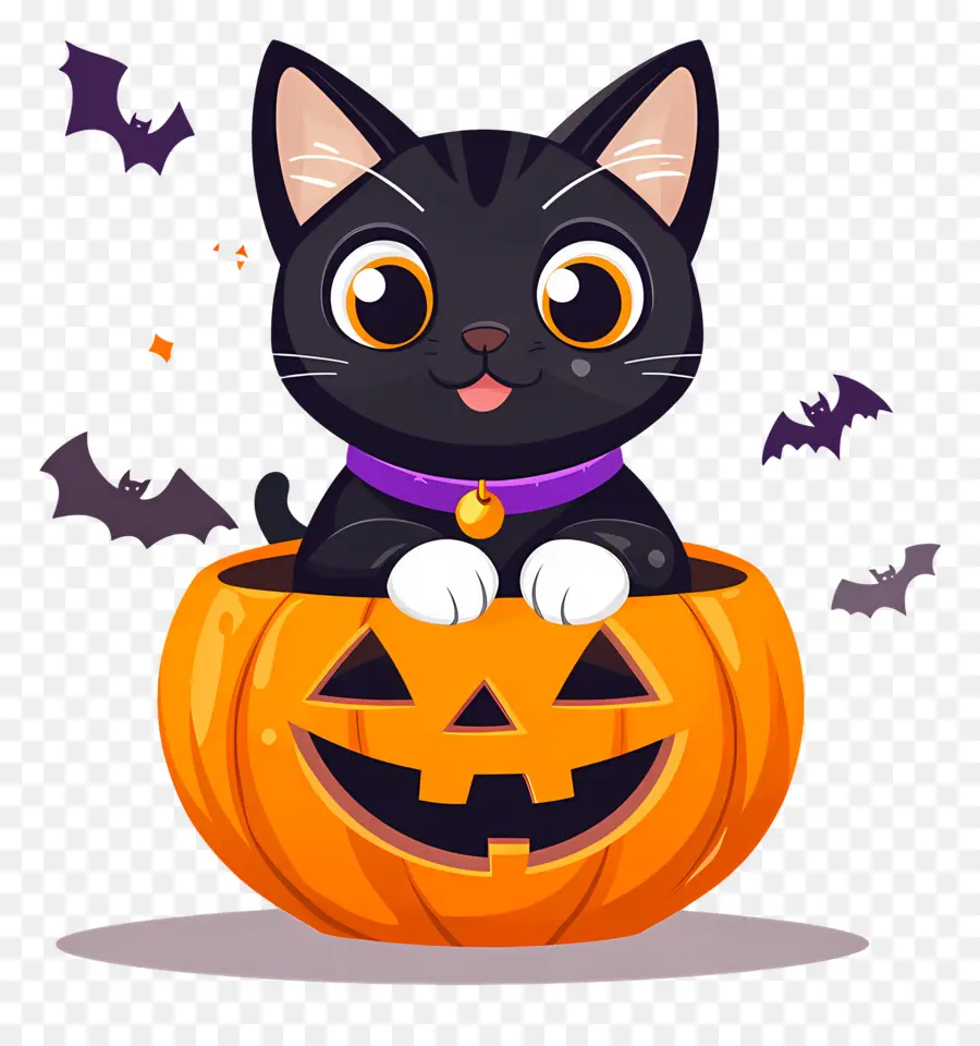 Chat Noir D'halloween，Chat En Citrouille PNG