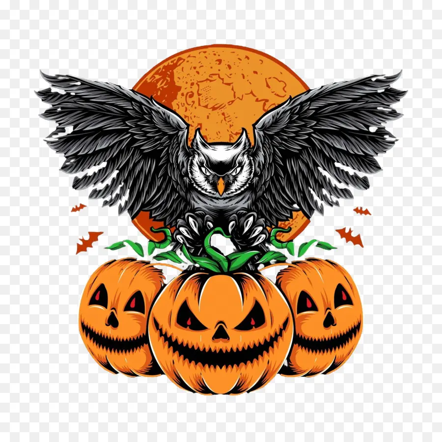 Chouette D'halloween，Chouette Et Citrouilles PNG