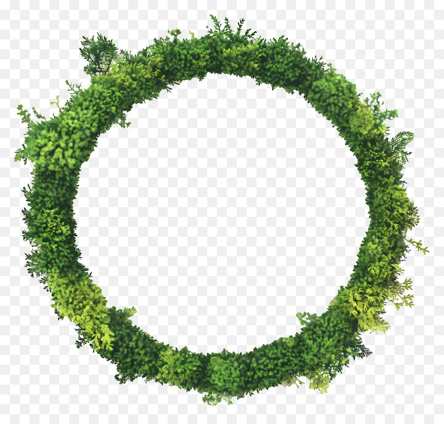 Cadre De Cercle Vert，Couronne Verte PNG