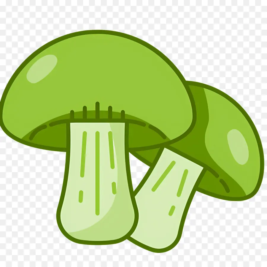 Champignon，Champignons Verts PNG