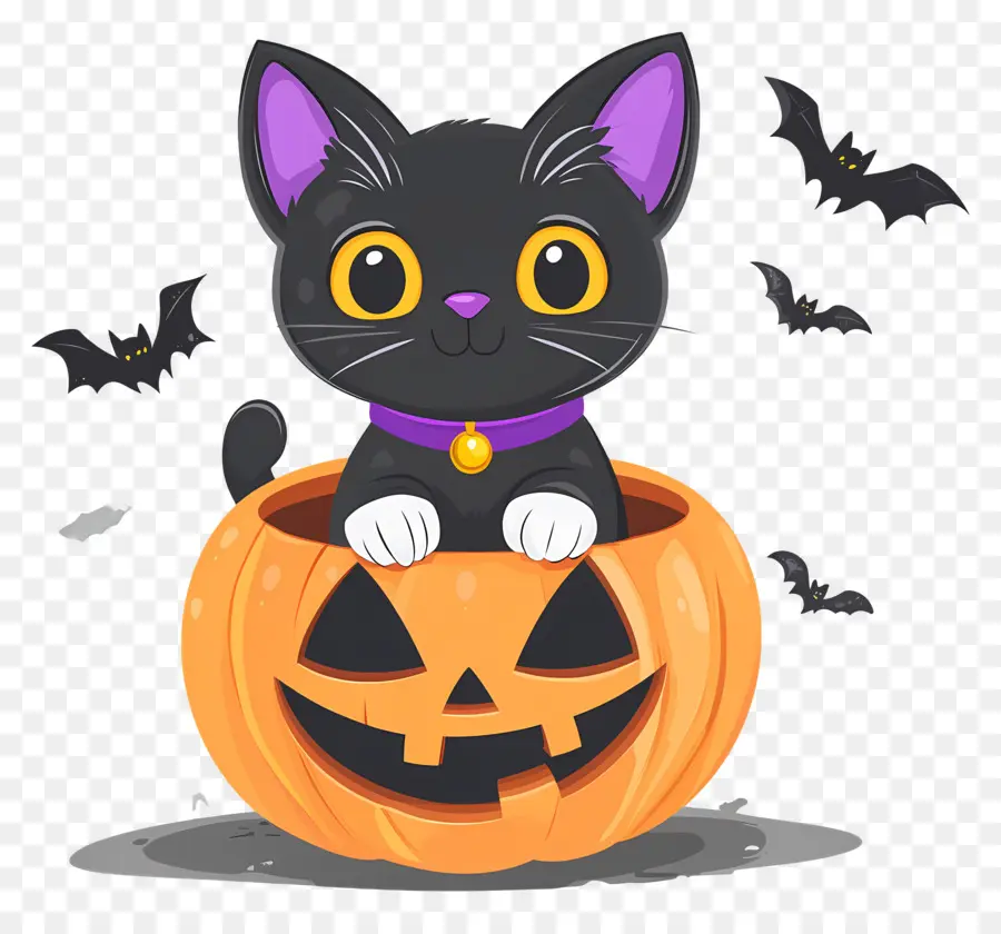 Chat Noir D'halloween，Chat En Citrouille PNG