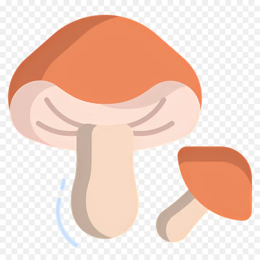 Champignon，Champignons PNG