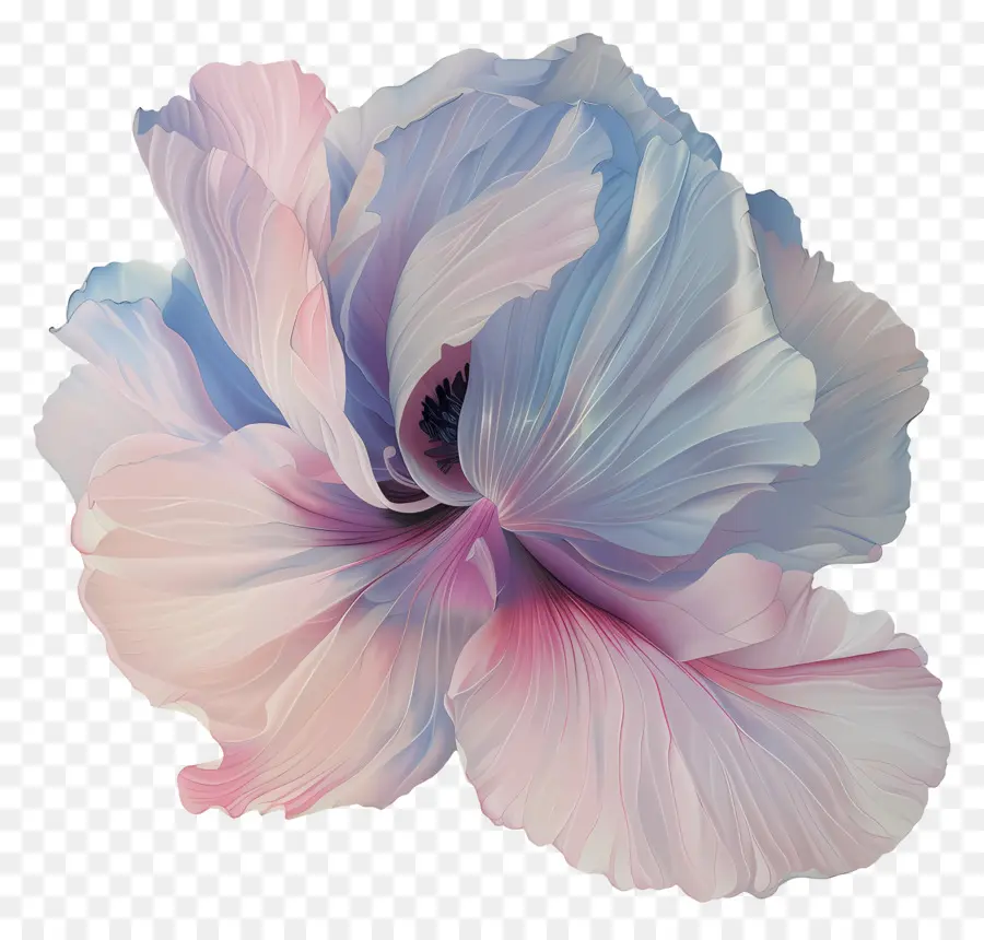 Fleur Pastel，Fleur Colorée PNG