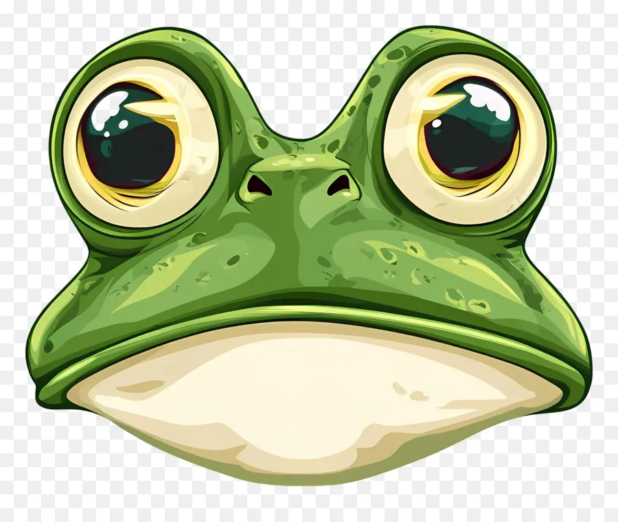 Grenouille De Dessin Animé，Grenouille PNG