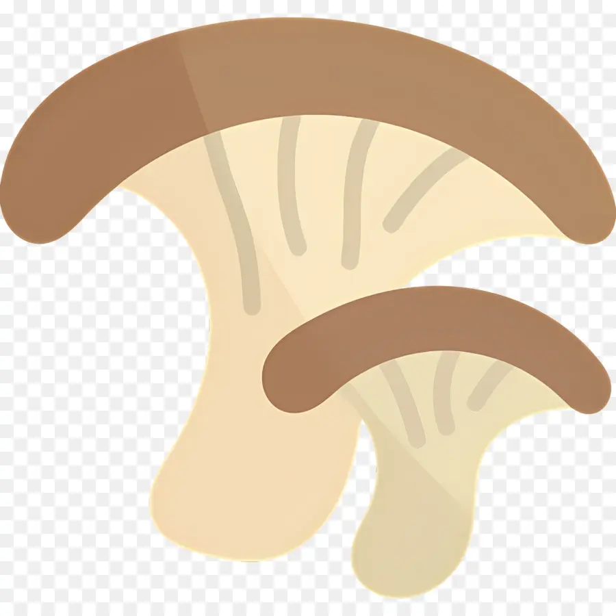 Champignon，Champignons PNG