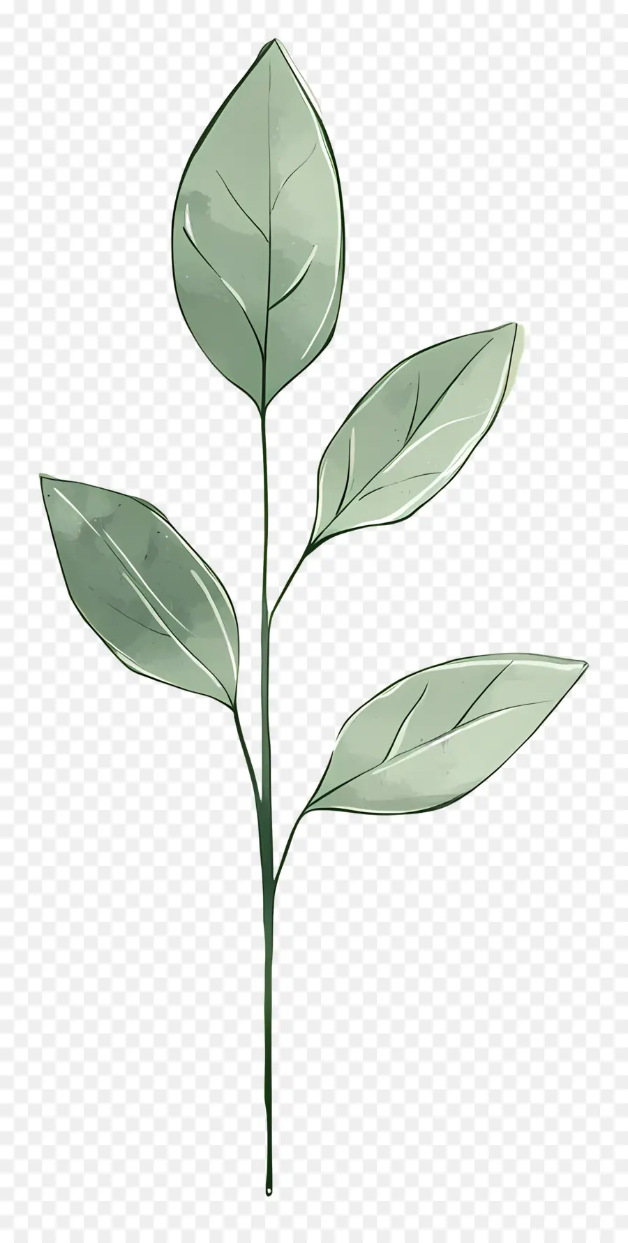 Plante Verte，Feuilles Vertes PNG