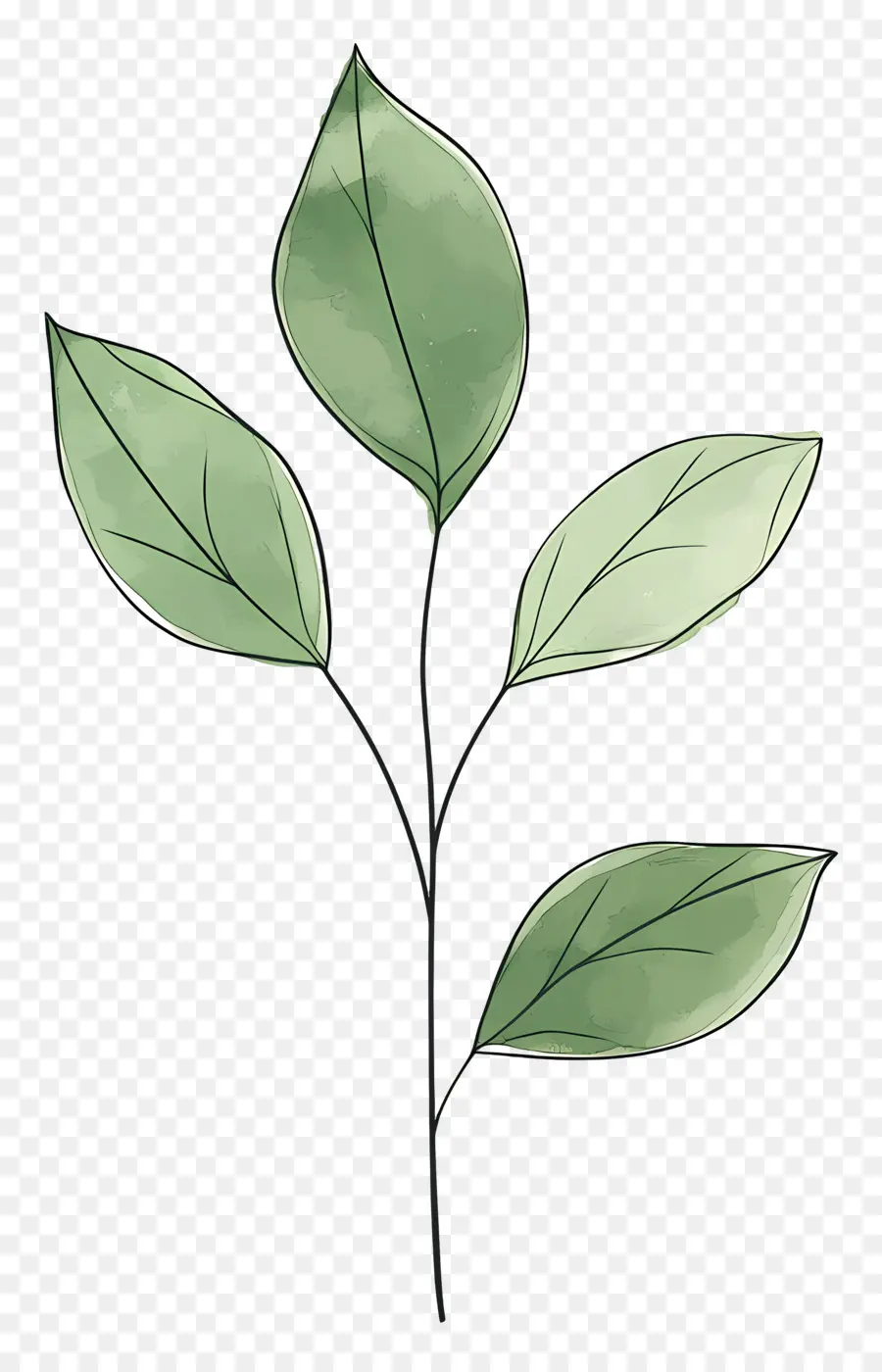 Plante Verte，Feuilles Vertes PNG