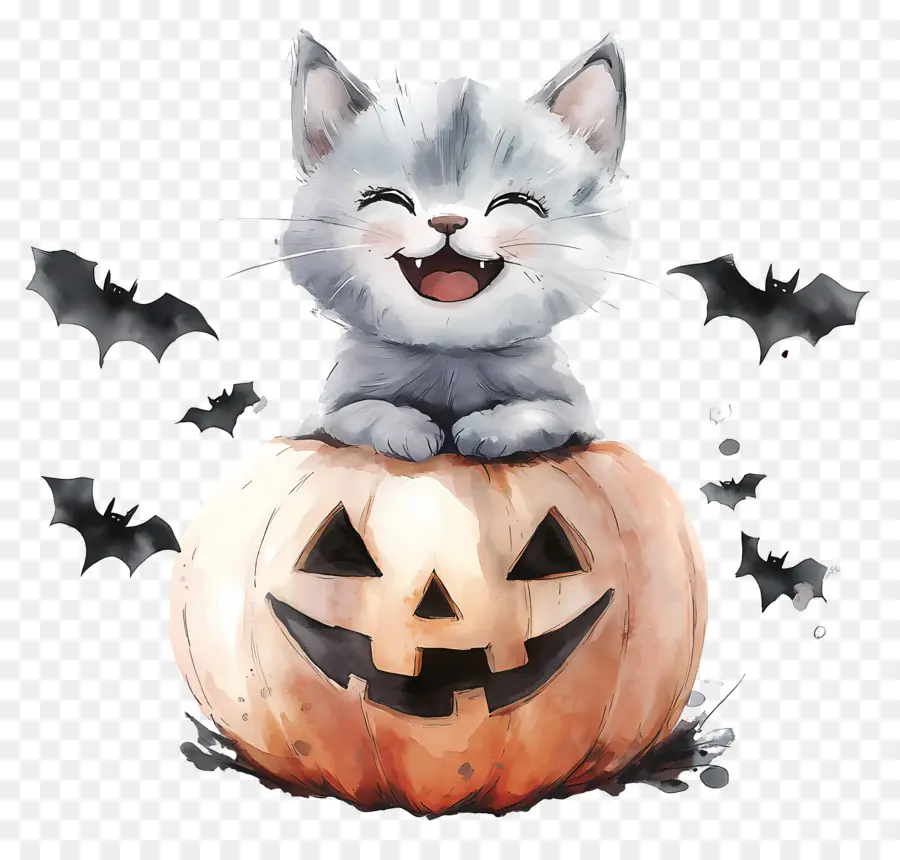 Chat D'halloween，Chat En Citrouille PNG