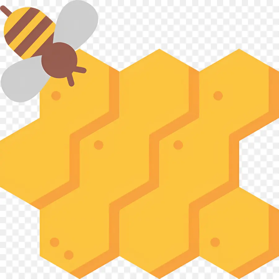 Abeille，Rayon De Miel PNG