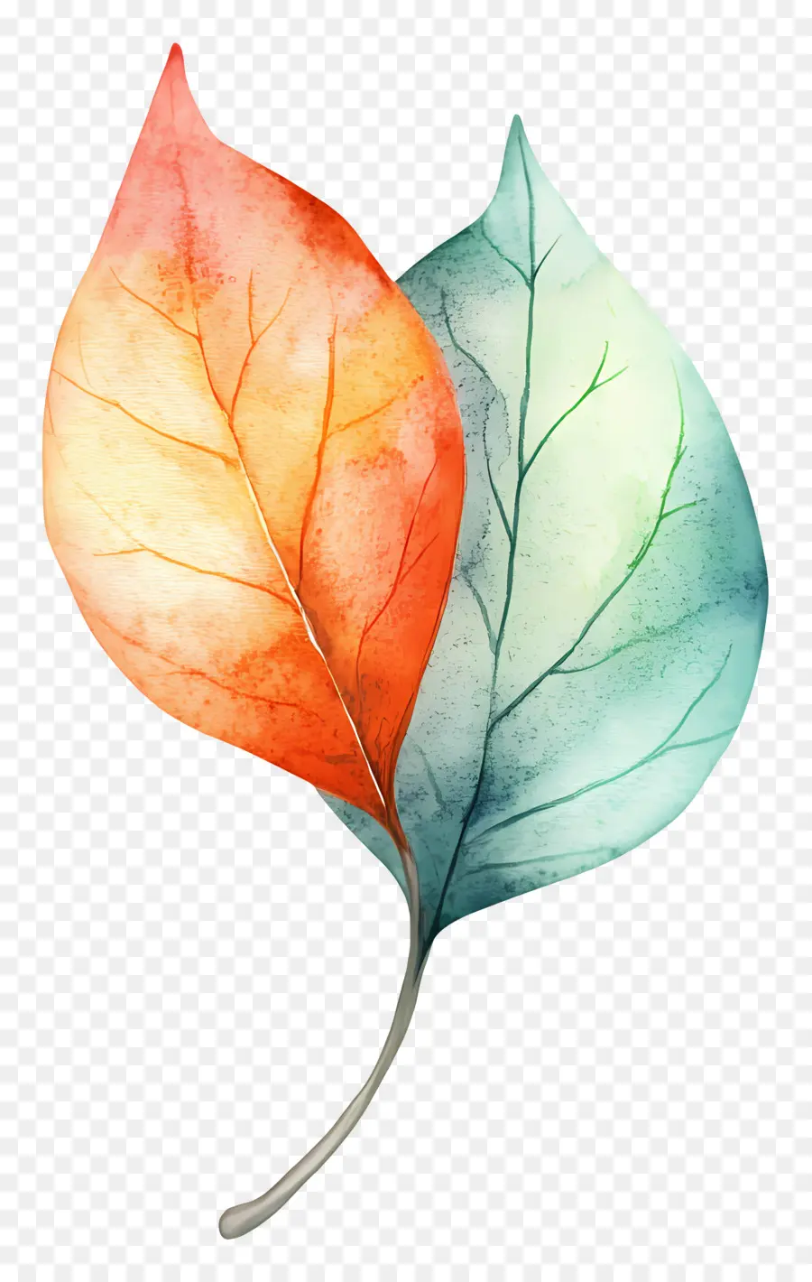 Feuille D'aquarelle，Feuille PNG