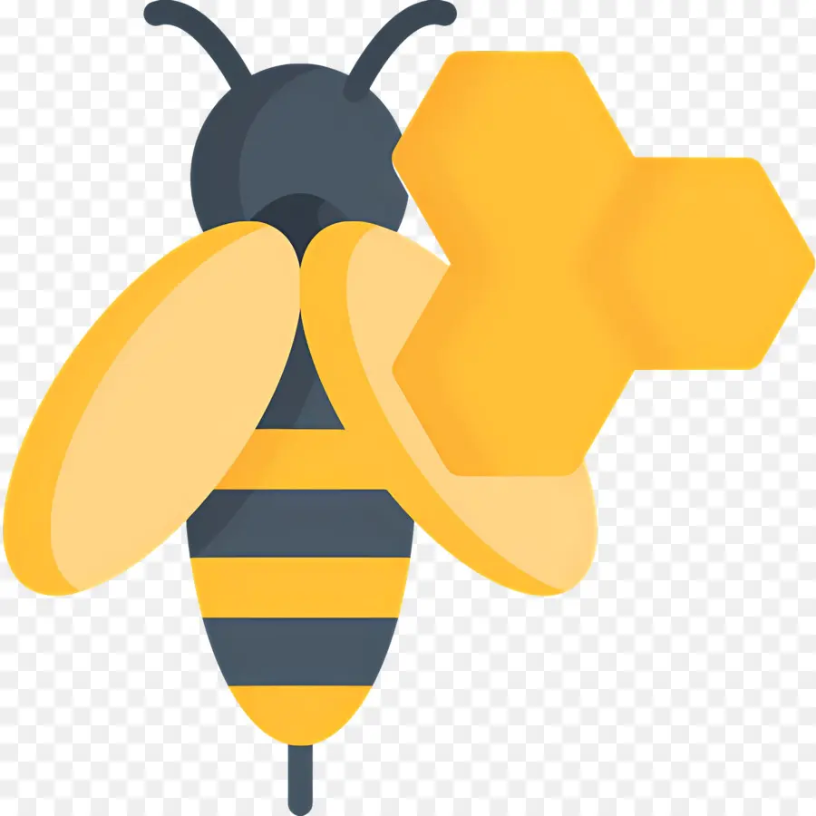 Abeille，Chéri PNG