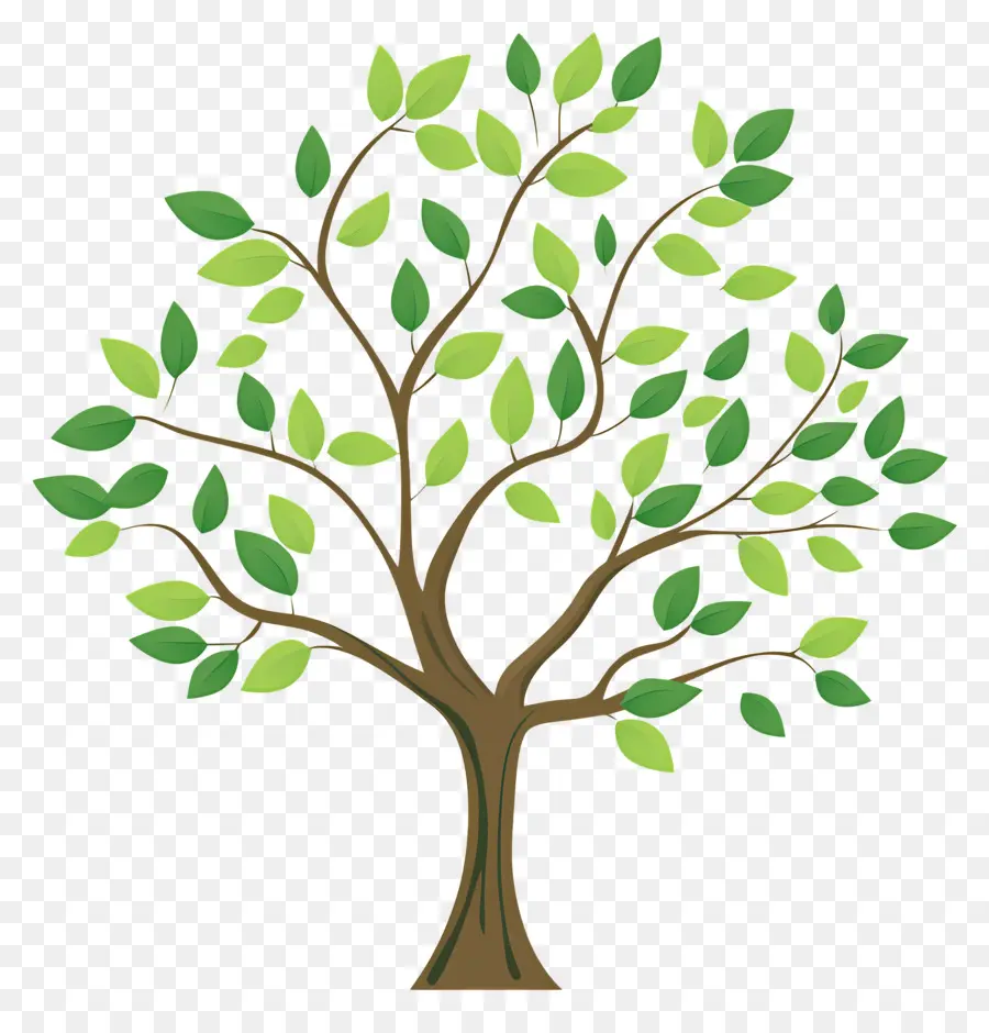 Arbre Simple，Arbre PNG