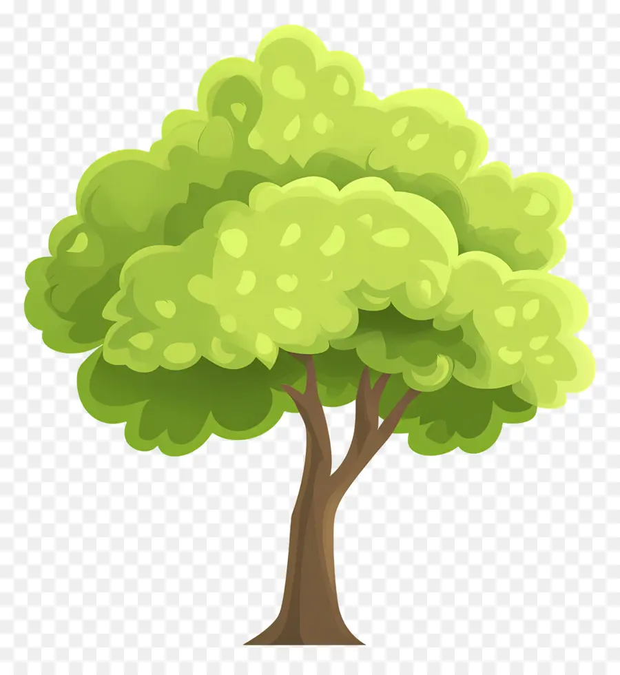 Arbre Dense，Arbre PNG