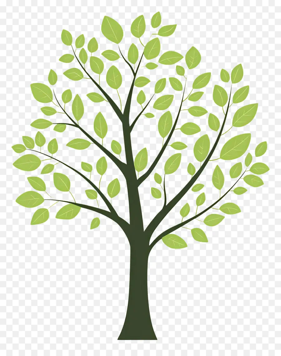 Arbre Simple，Arbre PNG