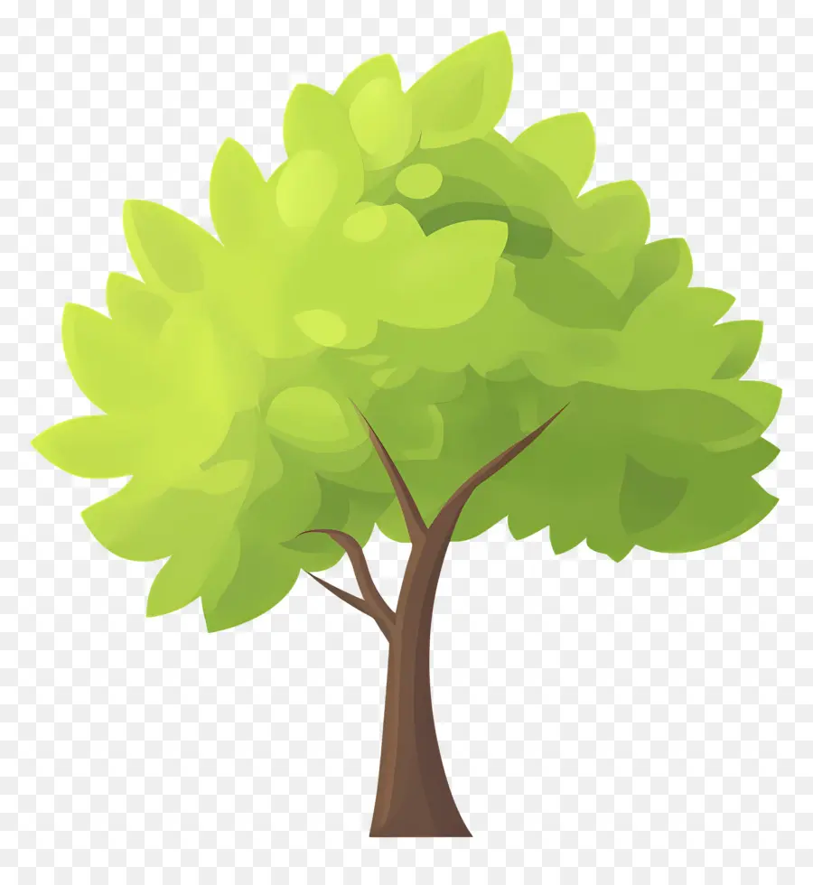 Arbre Dense，Arbre PNG