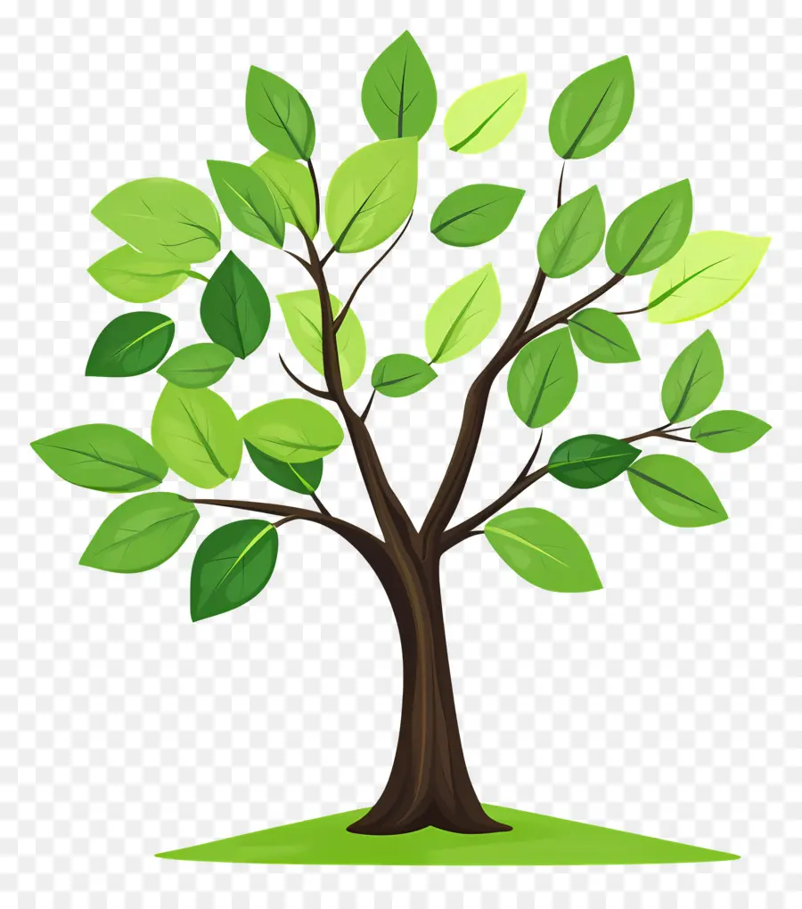 Arbre Simple，Arbre PNG