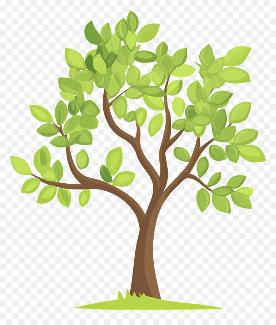 Arbre Simple，Arbre PNG