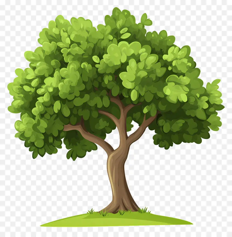 Arbre Dense，Arbres De Dessin Animé PNG