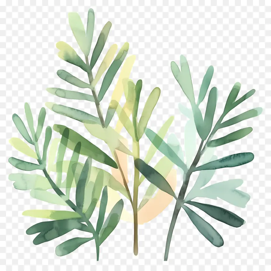 Peinture De Feuilles，Feuilles Vertes PNG