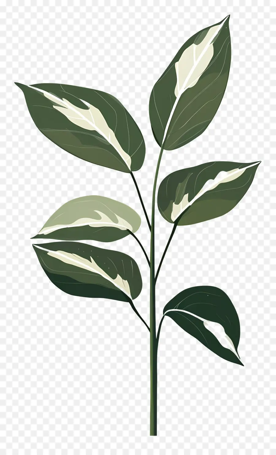 Plante Verte，Feuilles Vertes PNG