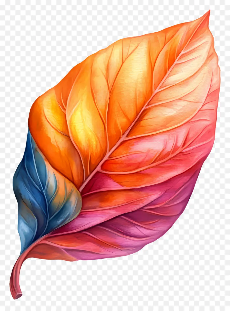 Feuille D'aquarelle，Feuille Colorée PNG