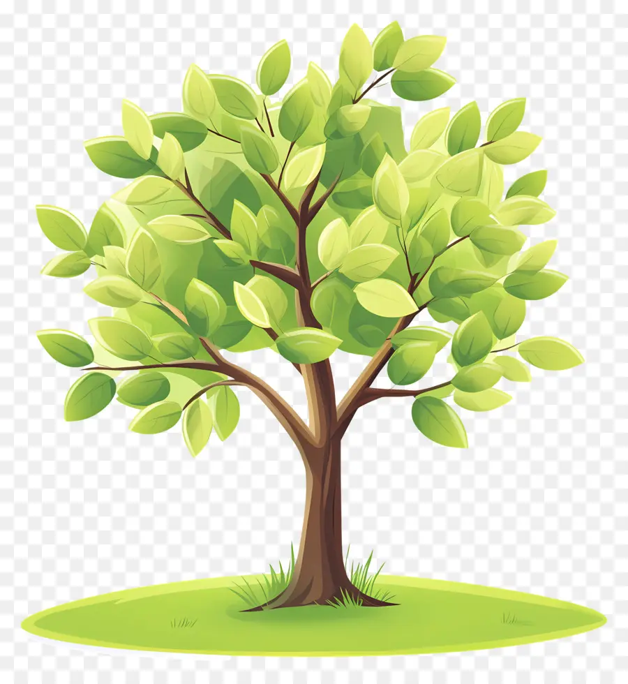 Arbre Dense，Arbre PNG