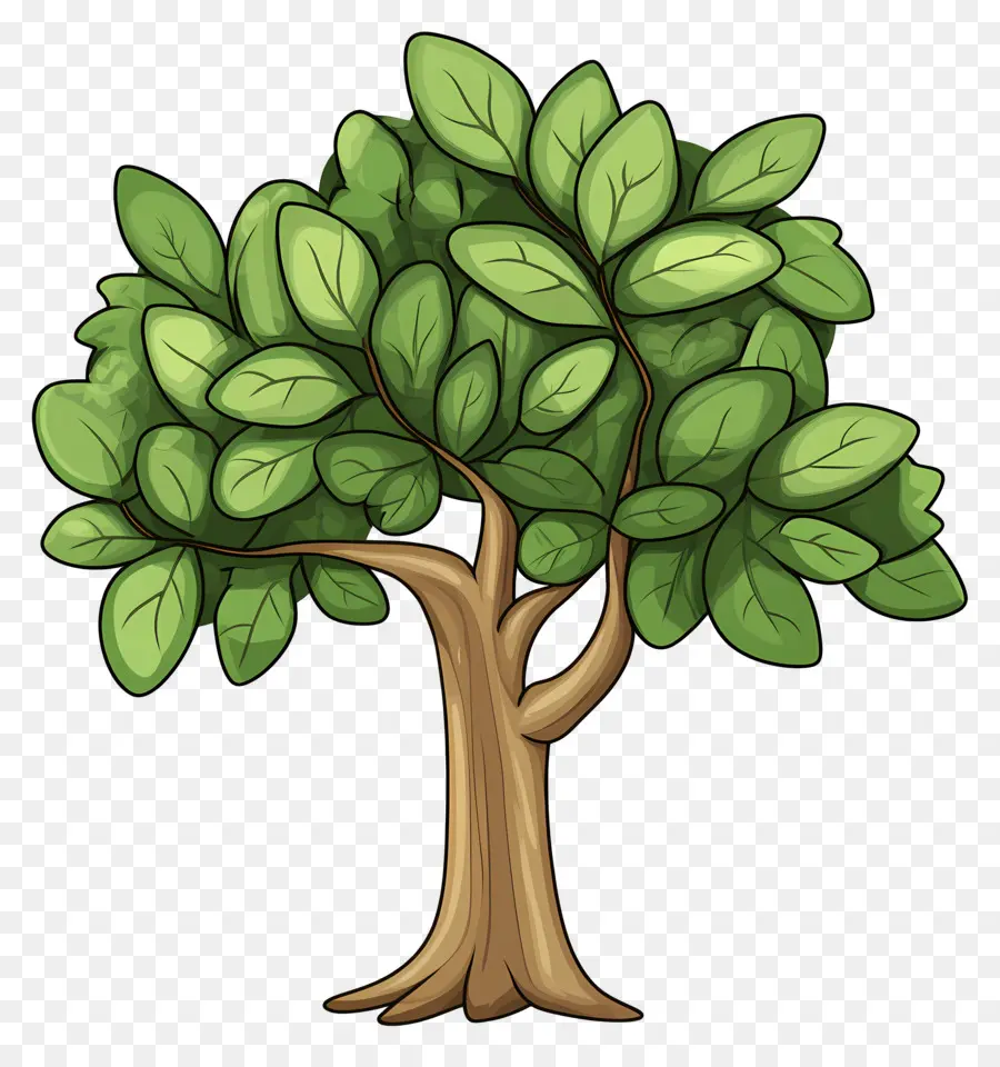 Arbre Dense，Arbre PNG