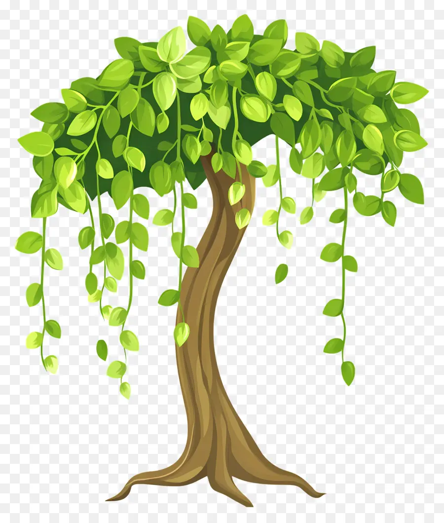 Arbre Dense，Arbre PNG