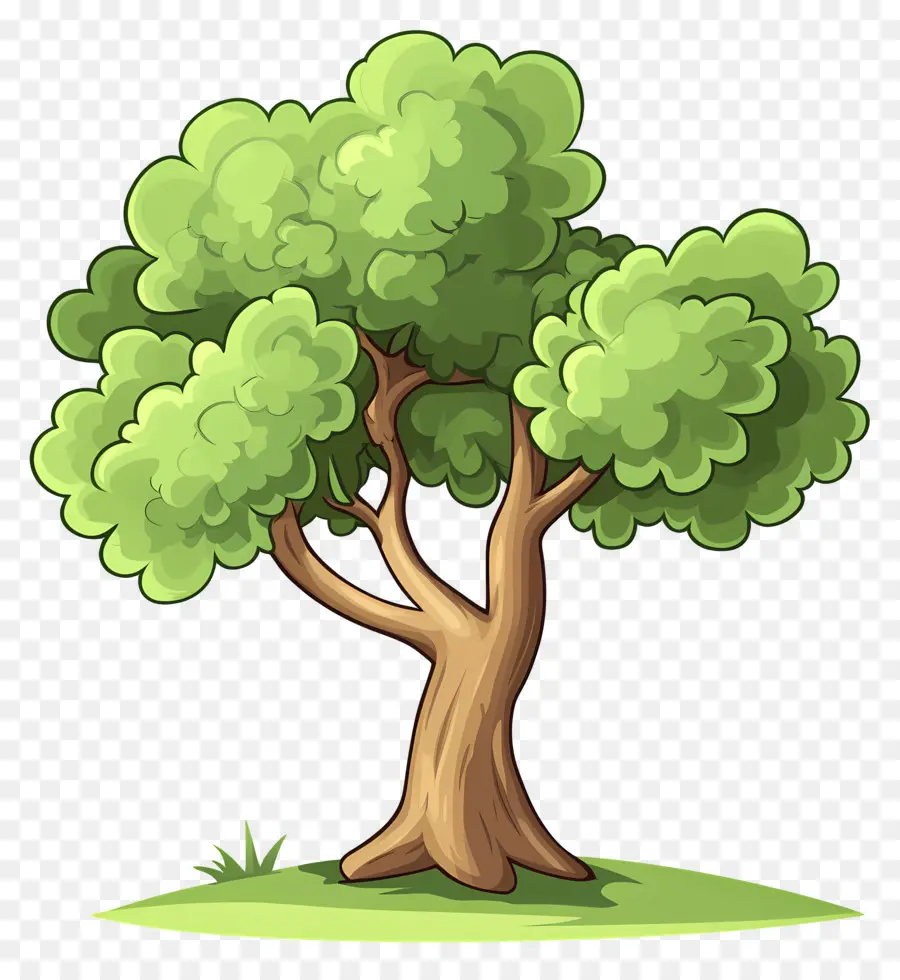 Arbre Dense，Arbre PNG