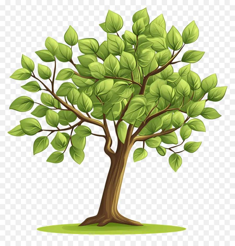 Arbre Dense，Arbre PNG