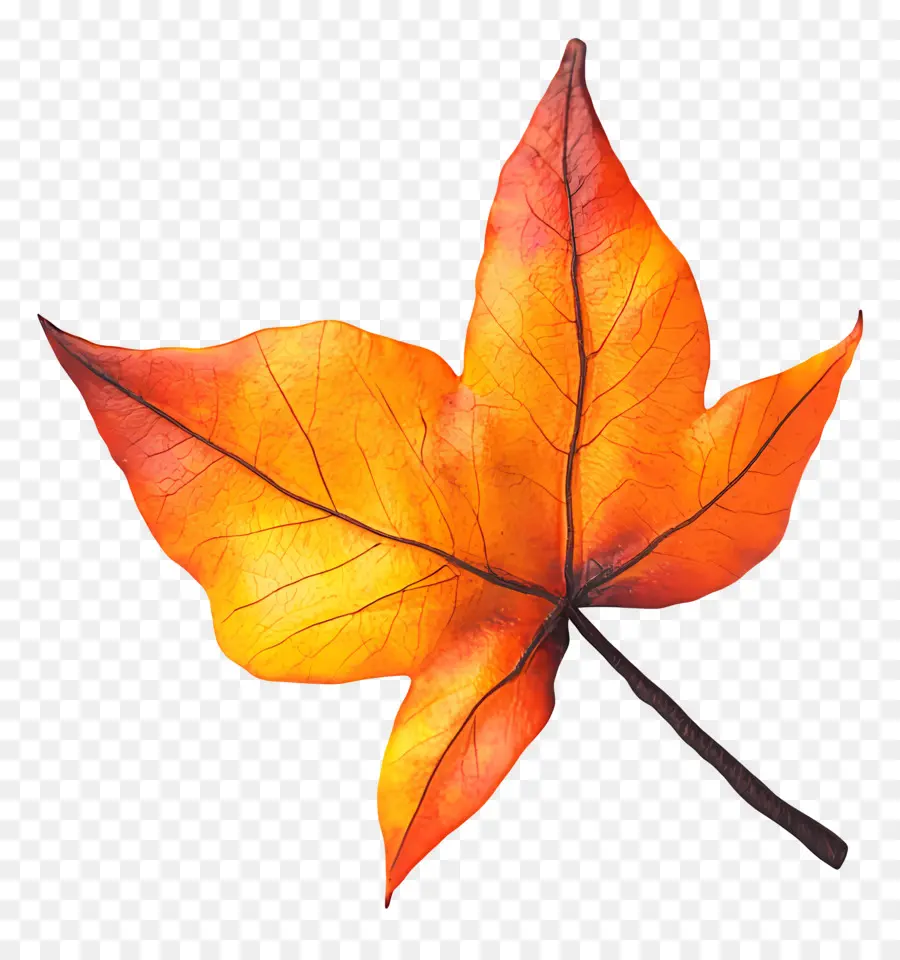 Feuille D'automne，Automne PNG