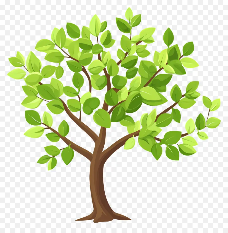 Arbre Dense，Arbre PNG