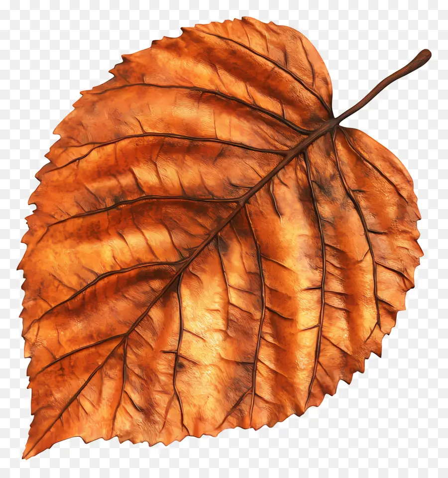 Feuille D'automne，Automne PNG