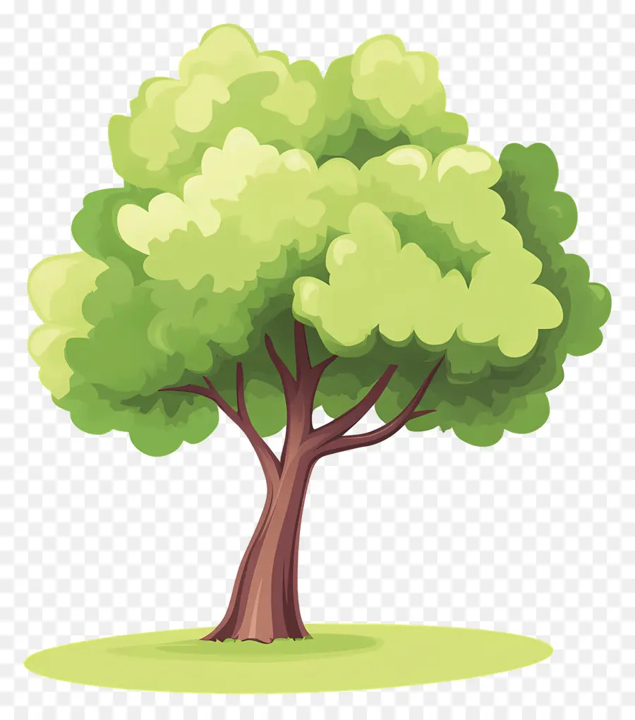 Arbre Dense，Arbre PNG