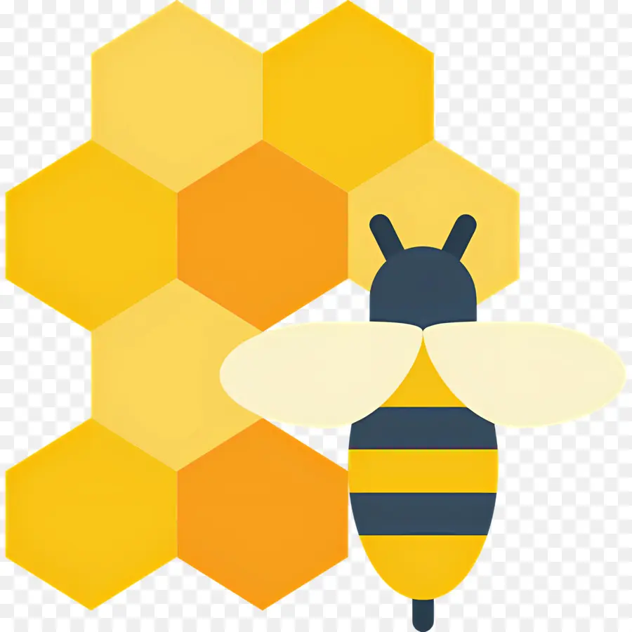 Abeille，Rayon De Miel PNG