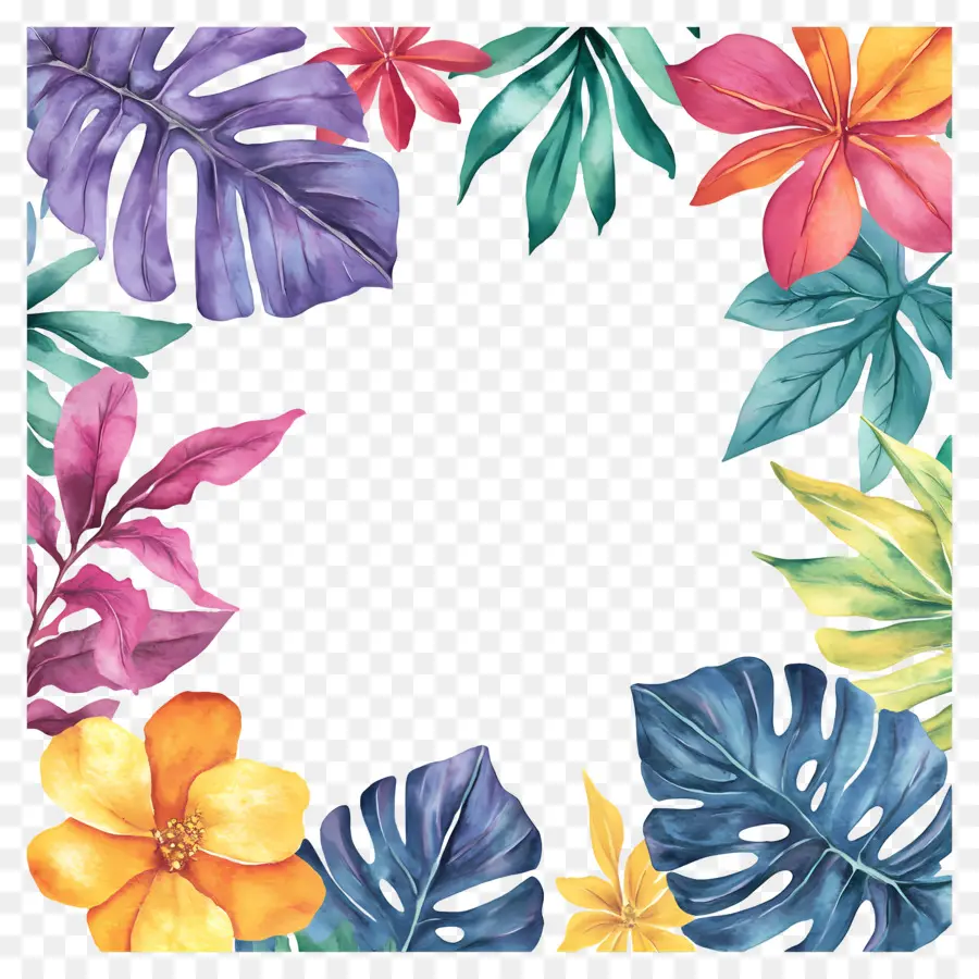 Cadre Floral Tropical，Cadre Coloré PNG