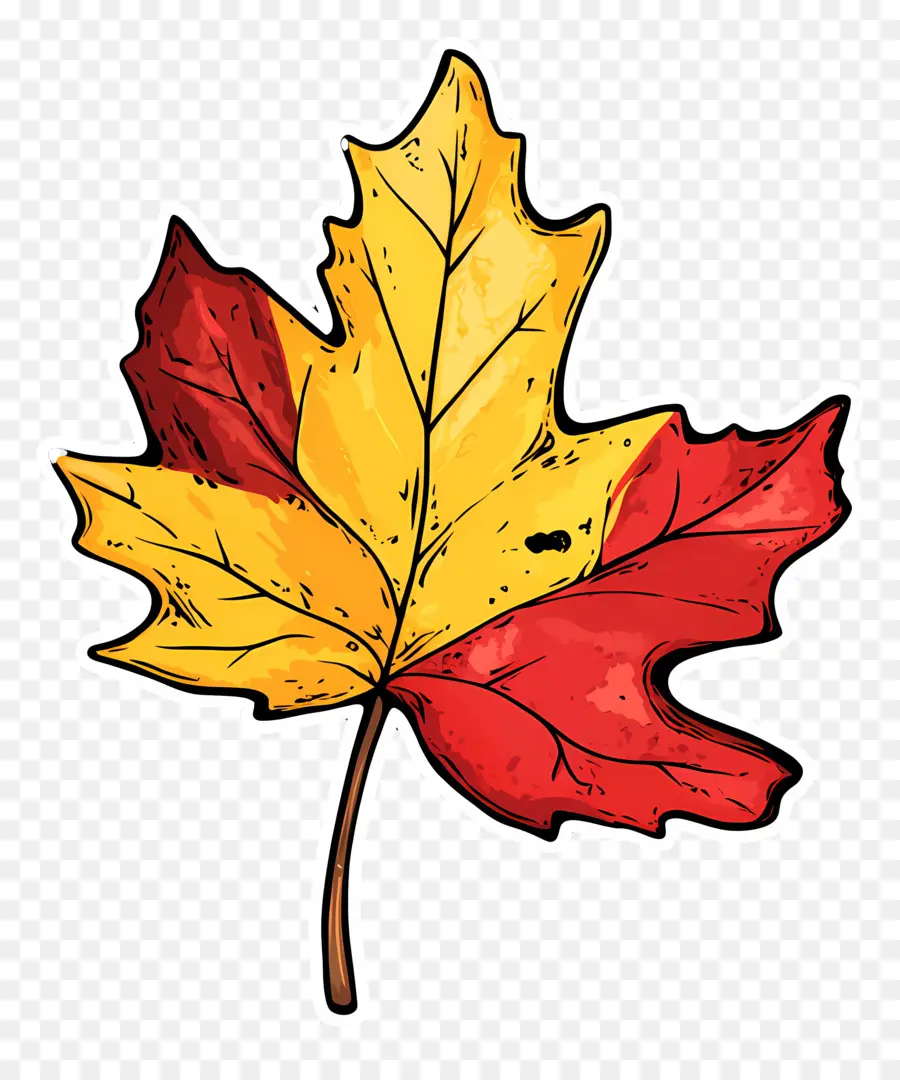 Feuille D'automne，Automne PNG