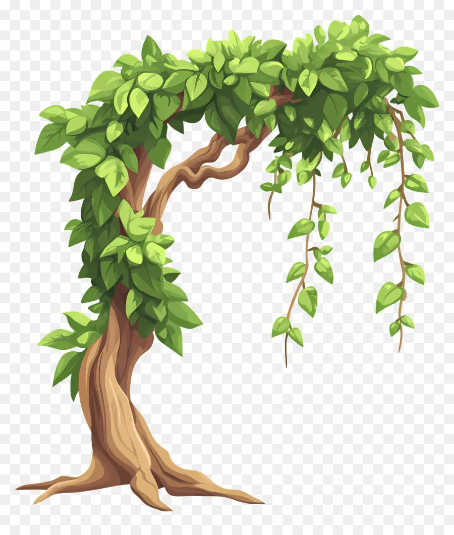 Arbre Dense，Arbre PNG