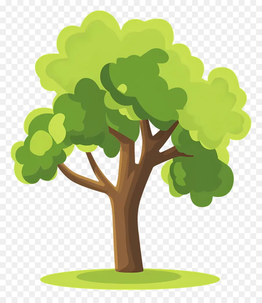 Arbre Dense，Arbre PNG