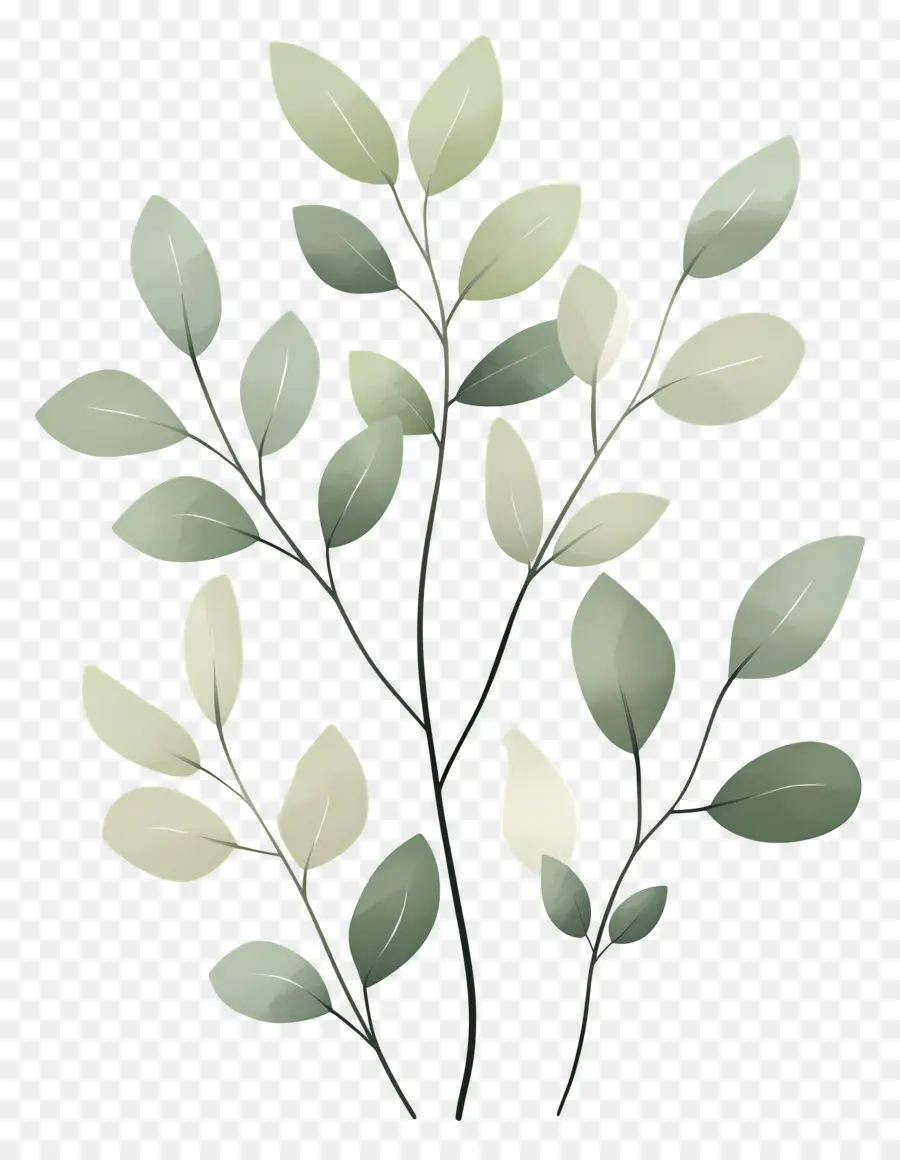 Plante Verte，Usine PNG