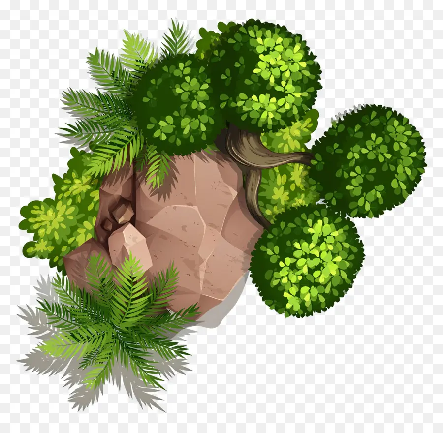 Plan D'arbre，Rocher Avec Des Plantes PNG