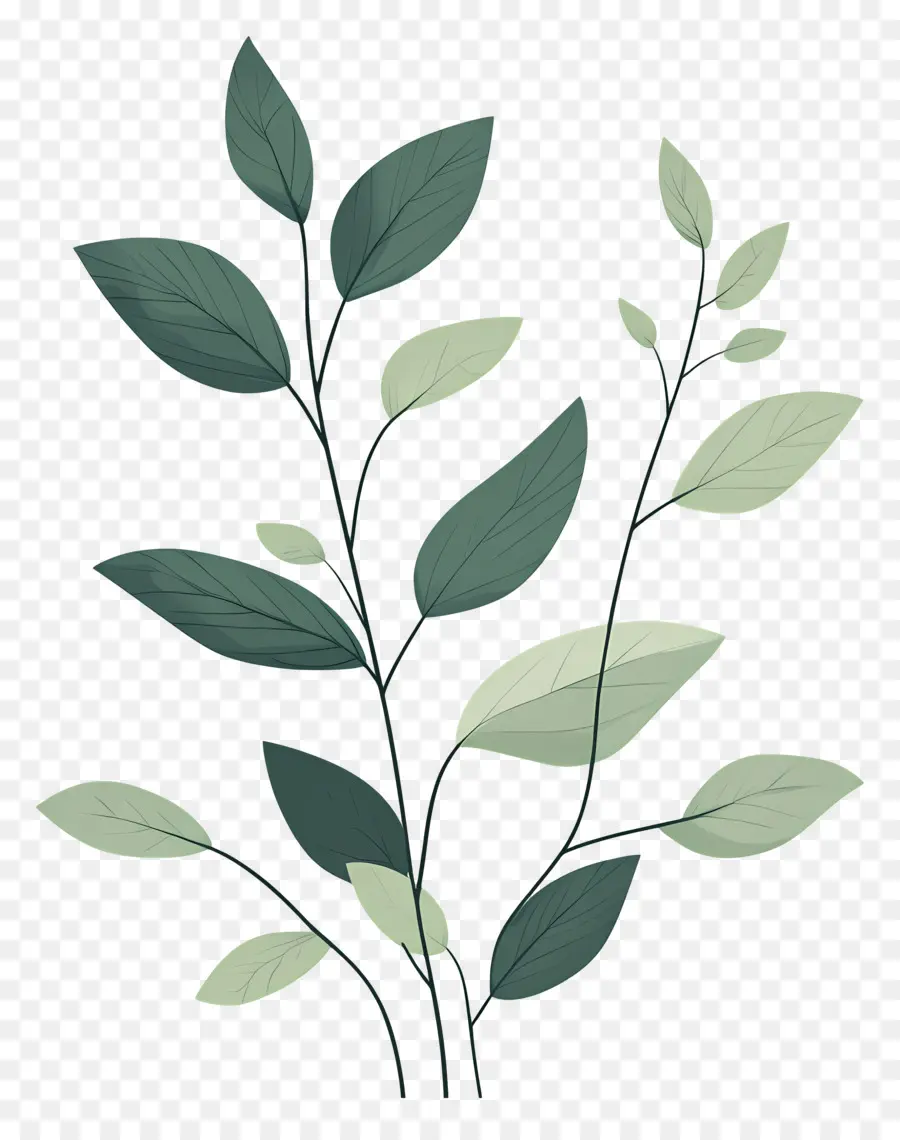 Plante Verte，Feuilles Vertes PNG